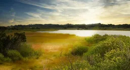 earthbook_pic