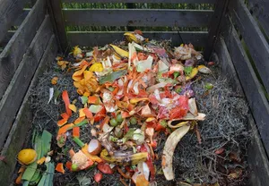 compost
