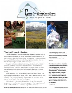 C4_Annual Report 2013